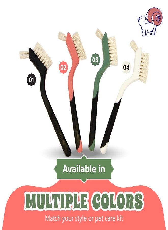 Snout and Shell Turtle Cleaning Brush - Gently Remove Dirt from Turtles and Tortoises - Red by Snout and Shell - Image 4